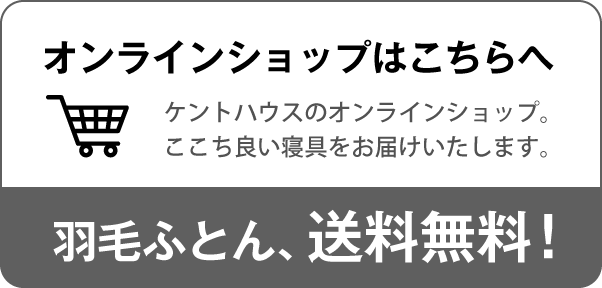 onlineshop